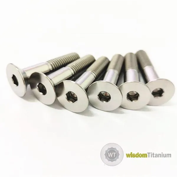 Titanium Countersunk Bolts.jpg